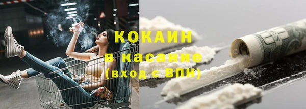 твердый Няндома
