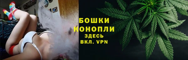 твердый Няндома