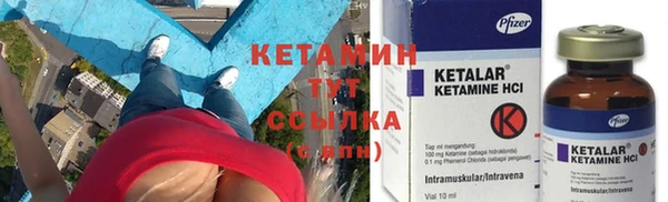 прущие грибы Осташков