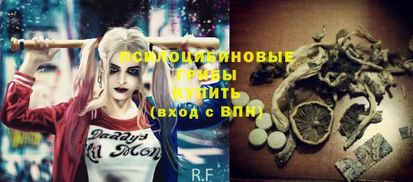 твердый Няндома