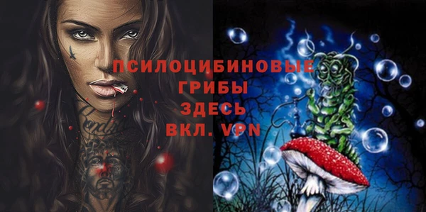 бутират Нязепетровск
