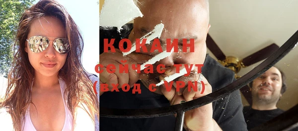 твердый Няндома