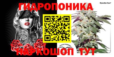 apvp Ипатово