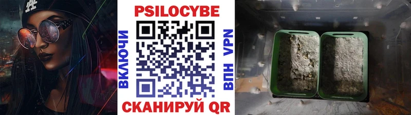 Галлюциногенные грибы ЛСД  hydra ONION  Тавда 