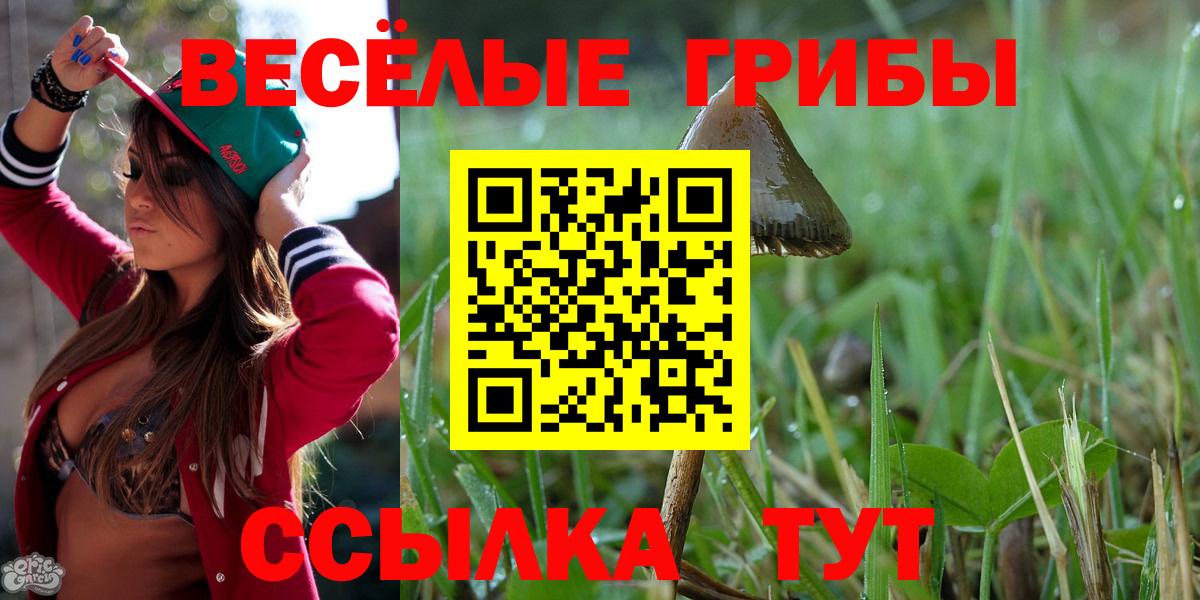 Псилоцибиновые грибы GOLDEN TEACHER Тавда