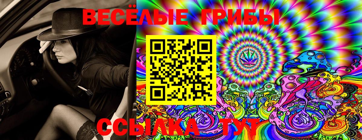 Вейп ТГК  Вход с VPN  Alpha-PVP СК кристаллы  Гашиш  Тавда  Конопля  Мефедрон  